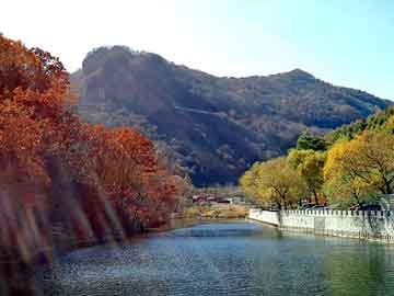 新澳天天开奖资料大全旅游团，沈阳seo软件